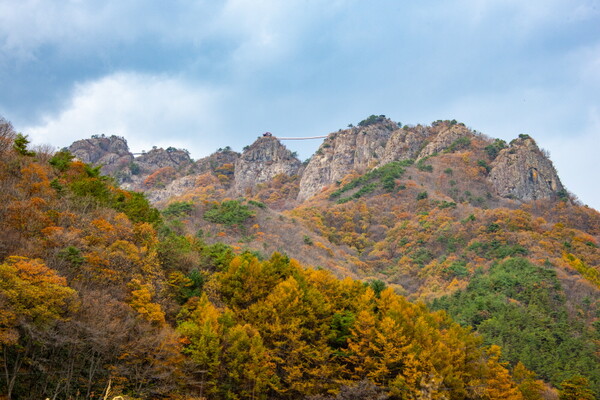 ▲ⓒ김종현 작가