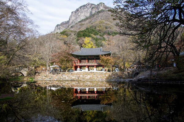 ▲전남 장성군 백양사 풍경ⓒ김종현 작가