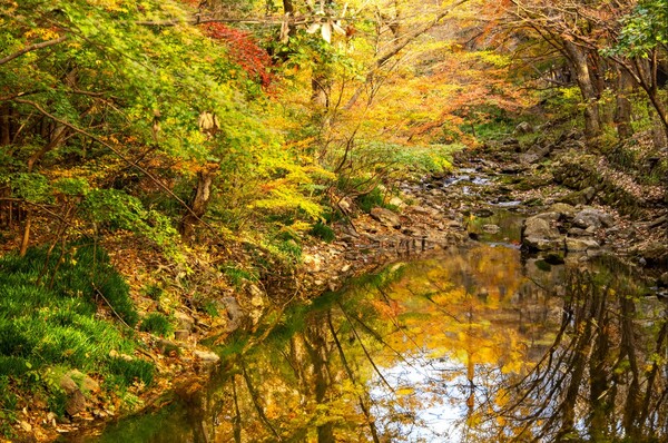 ▲전남 장성군 백양사 풍경ⓒ김종현 작가