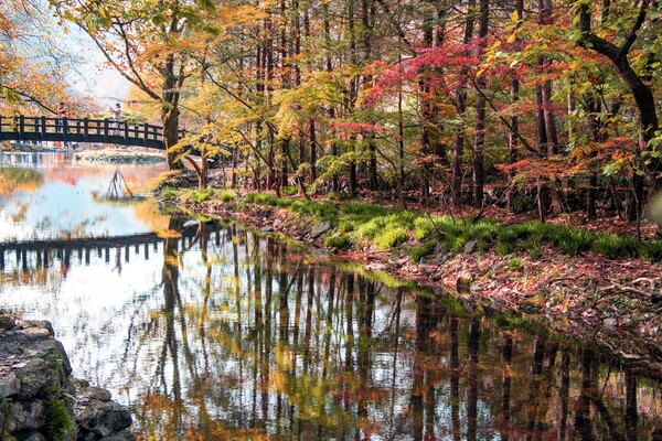 ▲전남 장성군 백양사 풍경ⓒ김종현 작가