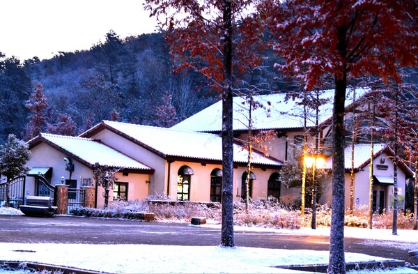 ▲ⓒ ▲담양메타쉐콰이어길 ⓒ김종현 작가