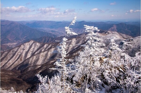 ▲광양 백운산 설경ⓒ김종현 작가
