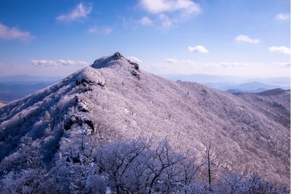 ▲광양 백운산 설경ⓒ김종현 작가