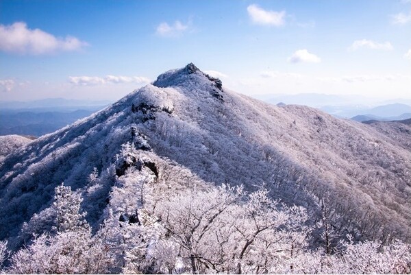 ▲광양 백운산 설경ⓒ김종현 작가