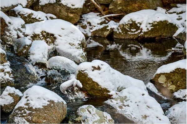 ▲광양 백운산 설경ⓒ김종현 작가
