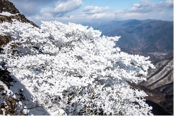 ▲광양 백운산 설경ⓒ김종현 작가
