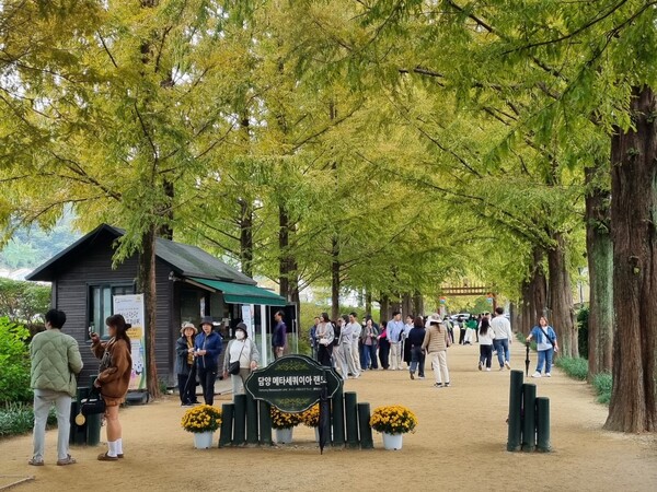 ▲담양 메타랜드 ⓒ담양군